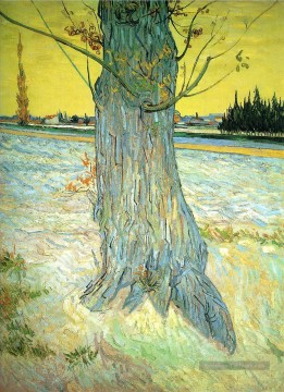 Coffre d’un vieil arbre Vincent Van Gogh Peinture à l'huile